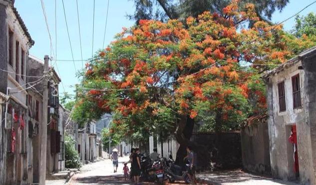 �����T���Ͻ�