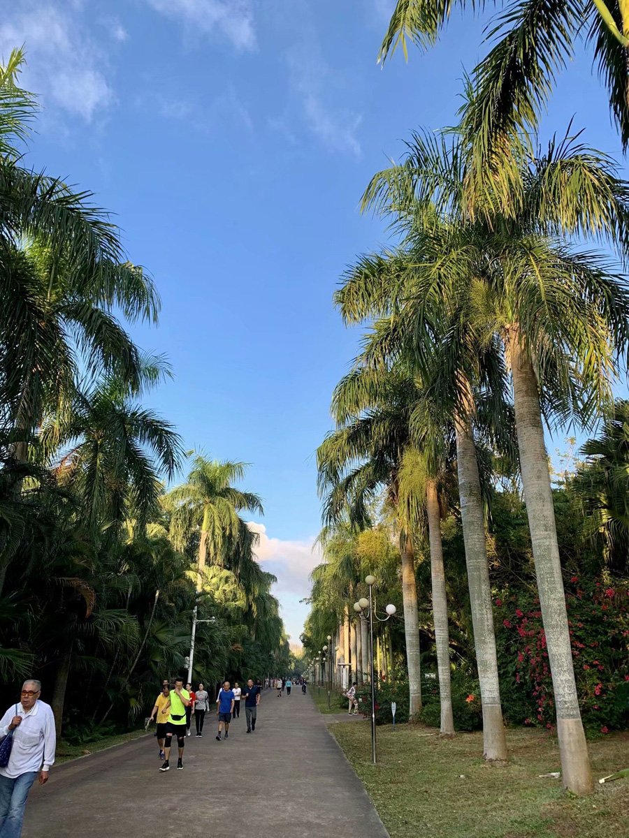 ���ڽ�ţ�X���@