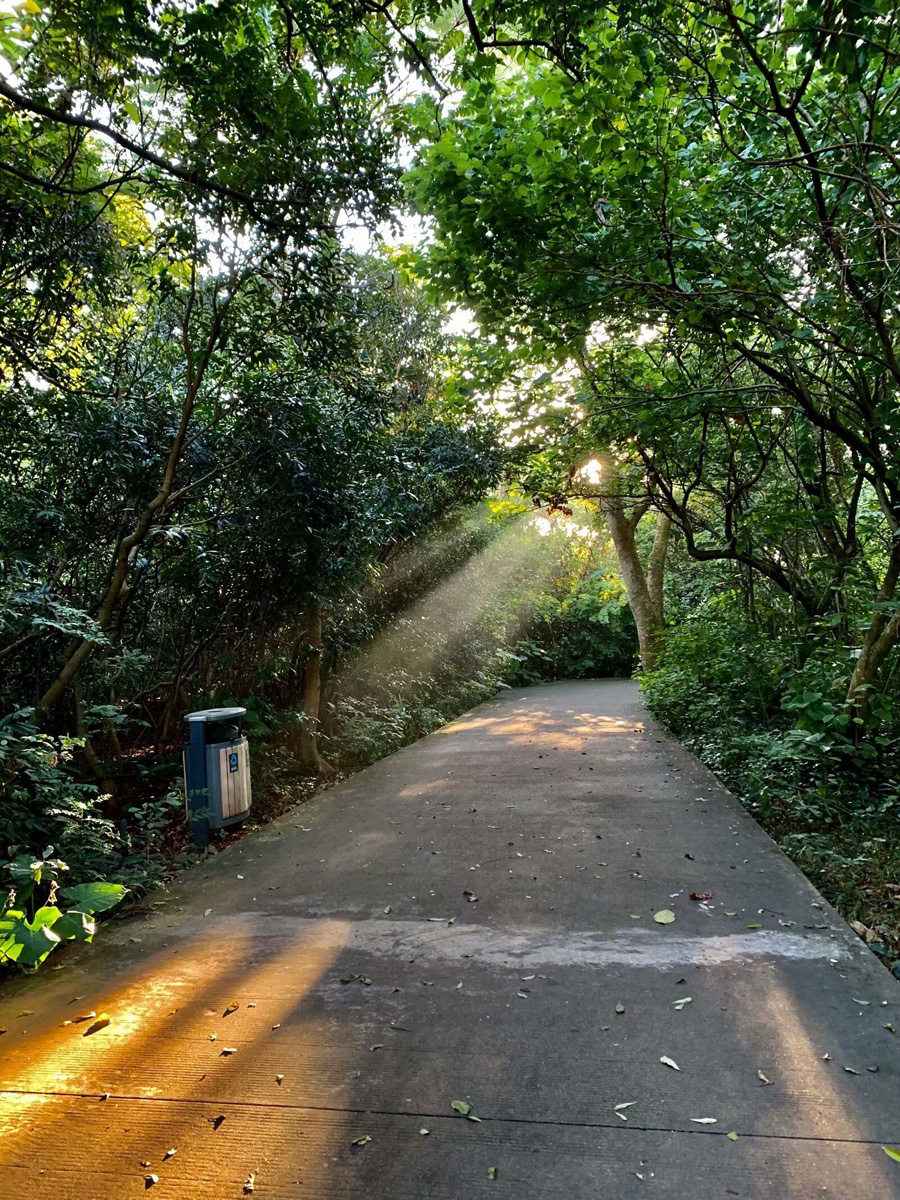 ���ڽ�ţ�X���@