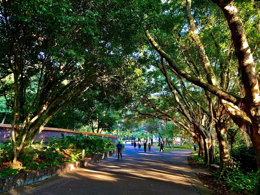 ���ڽ�ţ�X���@