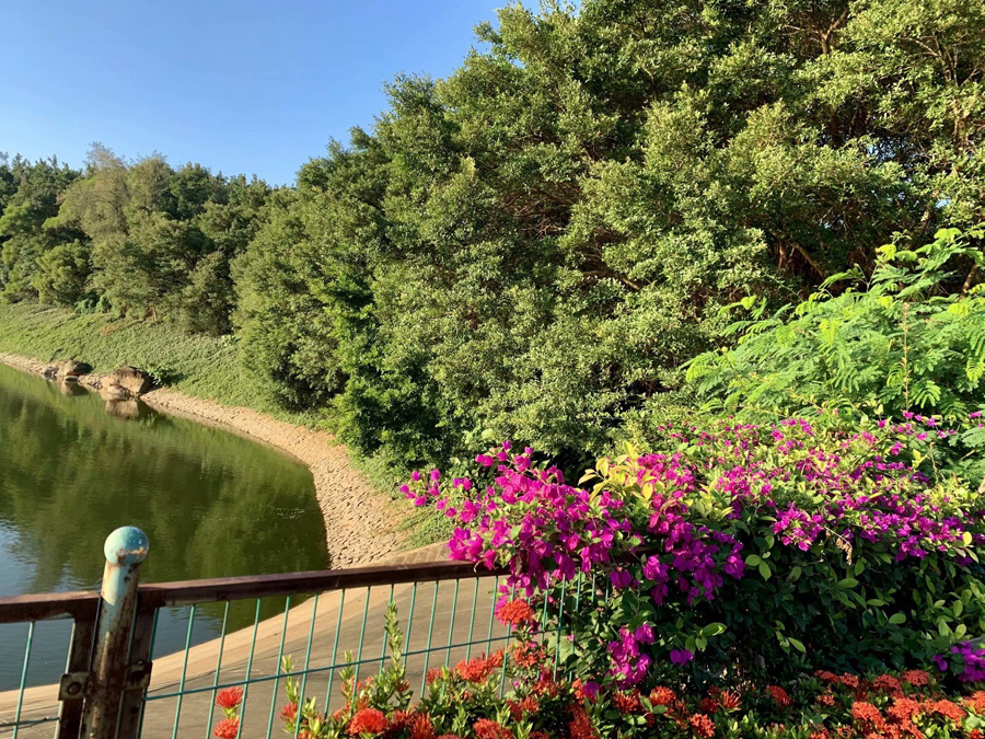 ���ڽ�ţ�X���@