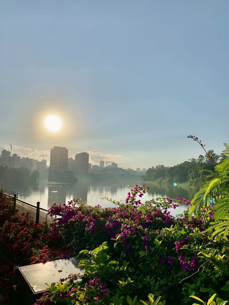 ���ڽ�ţ�X���@