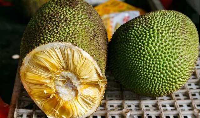 �����ϱ�ˮ���Ј�