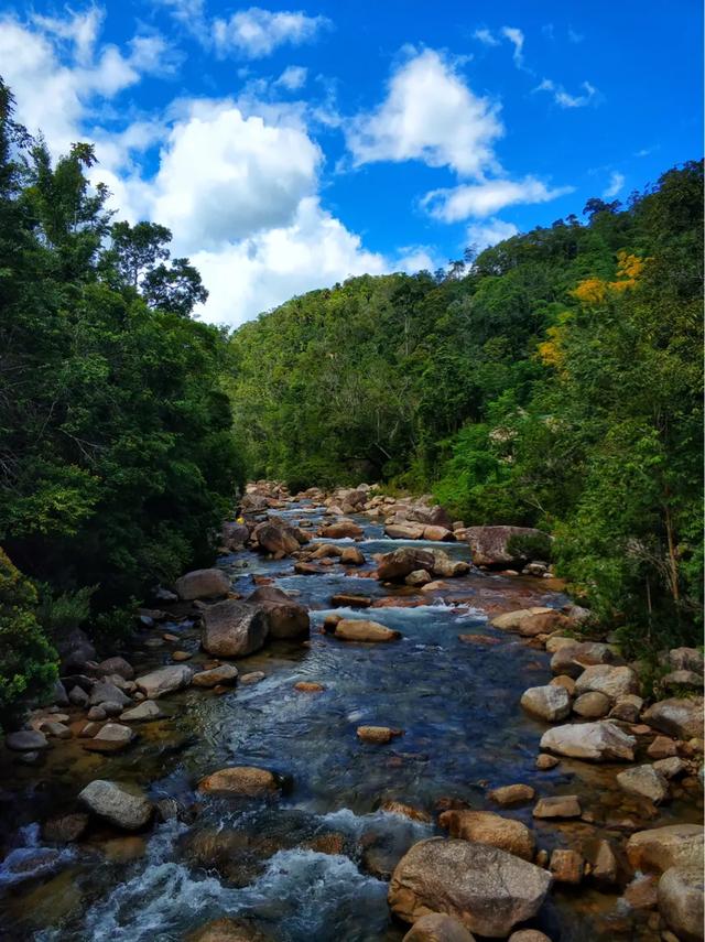 ���Ϙ��|����-�������M(j��n)���|