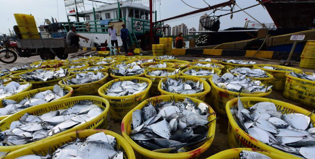 ����̶�T�۴a�^