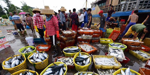 ����̶�T�۴a�^