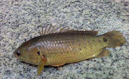 ���Ϙ���~���|