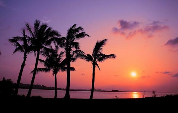 ����Ҭ�Ә�