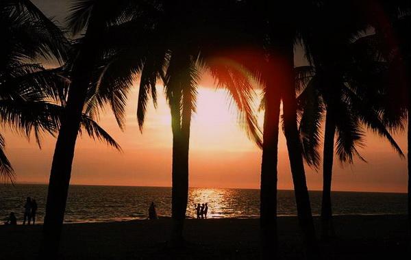 ����Ҭ�Ә�