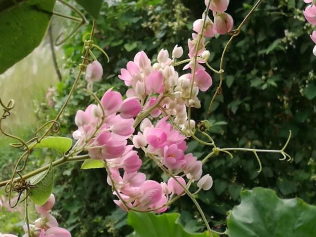 �����������r��