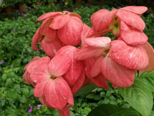 �����������r��