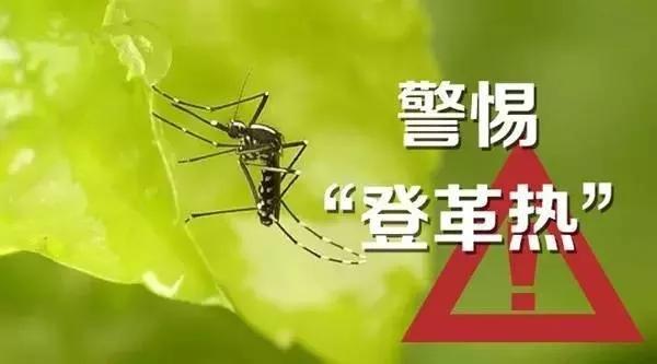 ʲô�ǵǸ����