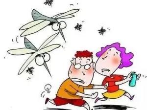 �����Ǹ��