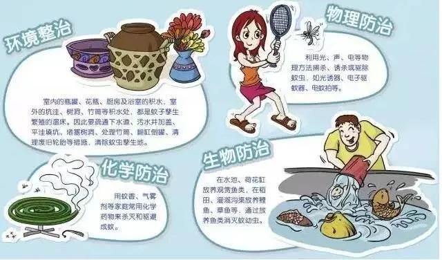 ����Ǹ��