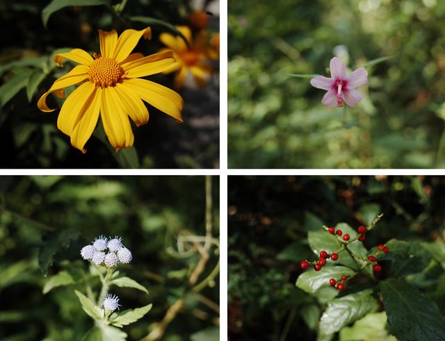 �Ꭷ�����е�СҰ��