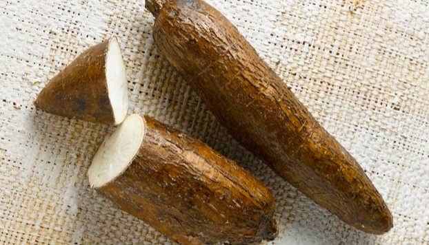 ����ľ��