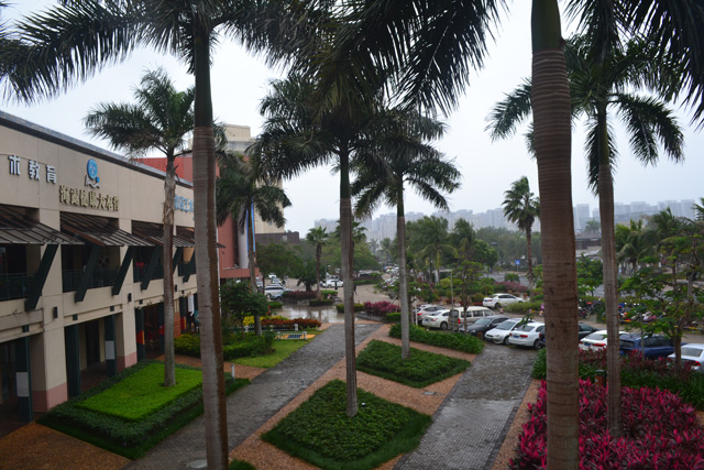 �����Ǻ���