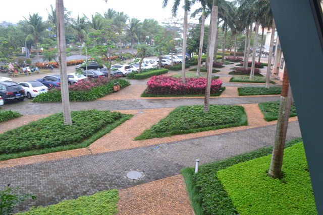 �����Ǻ���