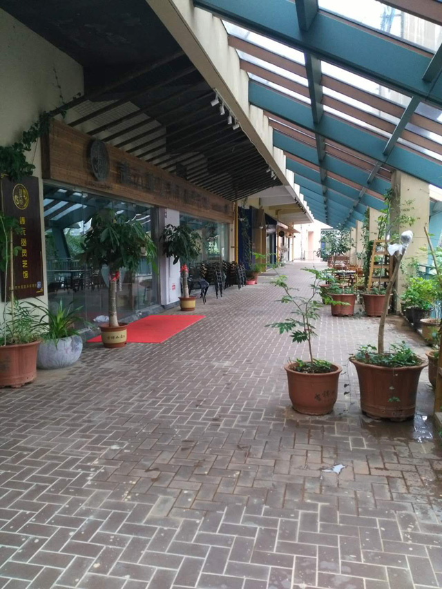 �����Ǻ���