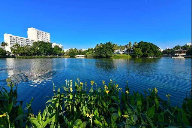 ���ڹ��@