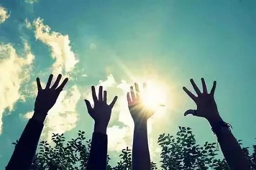 ��ʡ��������ϴ�W(xu��)�����w���Ƿ񰴺������߈�(zh��)����