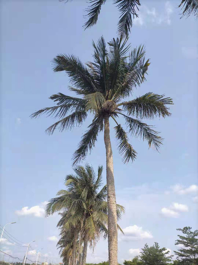 �����н��|�^(q��)������2021���S��