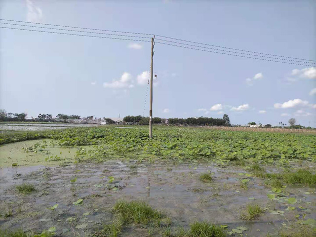 �����н��|�^(q��)������2021���S��