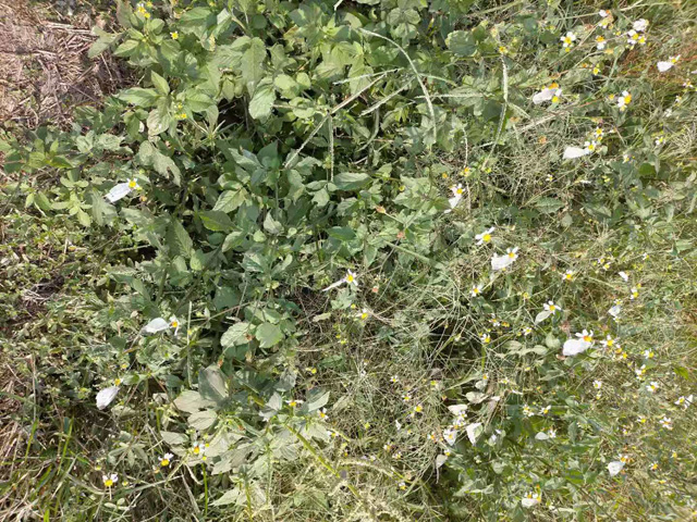 �����н��|�^(q��)������2021���S��