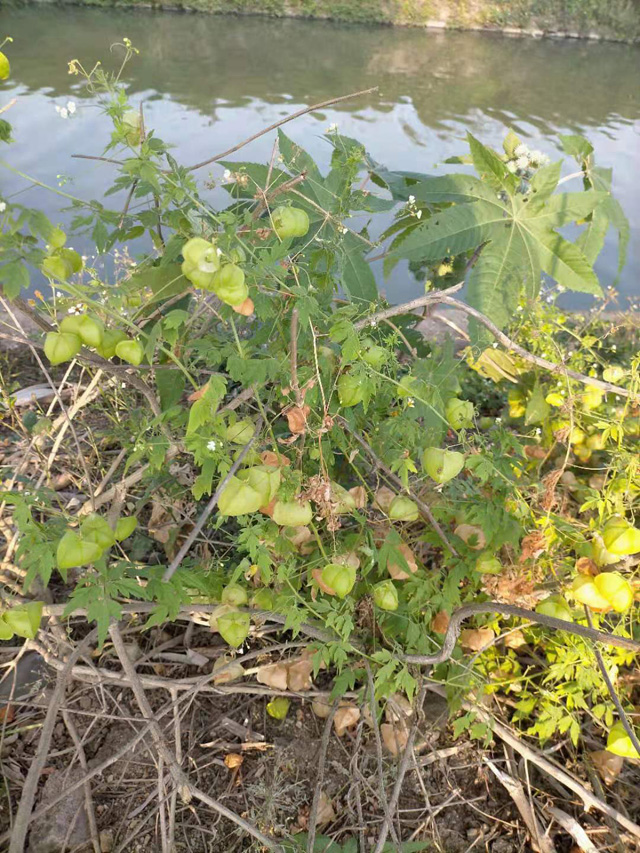 �����н��|�^(q��)������2021���S��