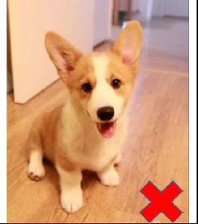 �������Օr��������Ҫ��֫վ����(c��)����