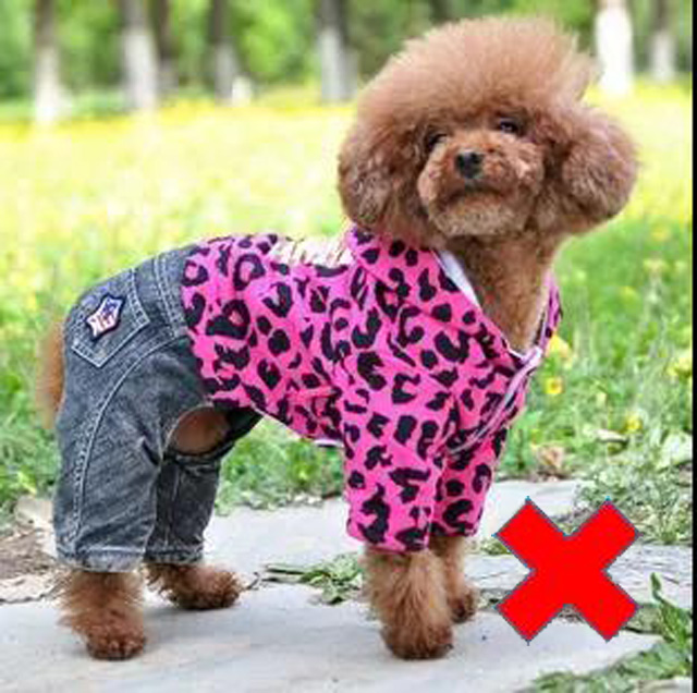 ������վ�˷ǳ��Ę�(bi��o)��(zh��n)���������ܸ�ֱ�^��չ�F(xi��n)����ëɫ���w�ͣ����������յĕr��Ո���������·�Ó��