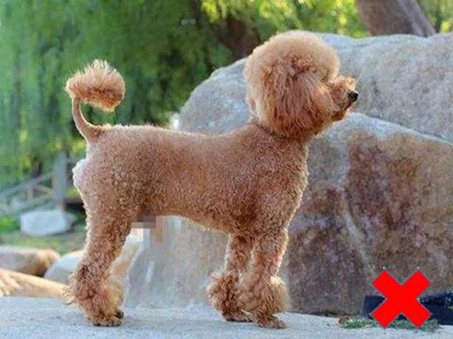 ������վ�˂�(c��)�涼�ǳ�������������Ę��Ҫ�D(zhu��n)�^�������R�^