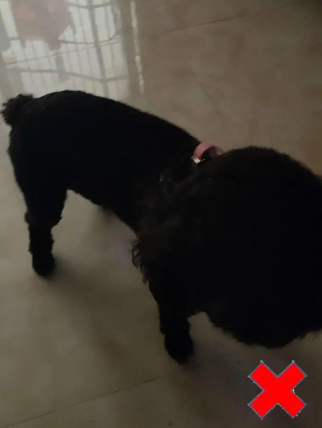 �⾀����Ȯֻ��Ƭ���������@��Ҳ�ǲ��ϸ��