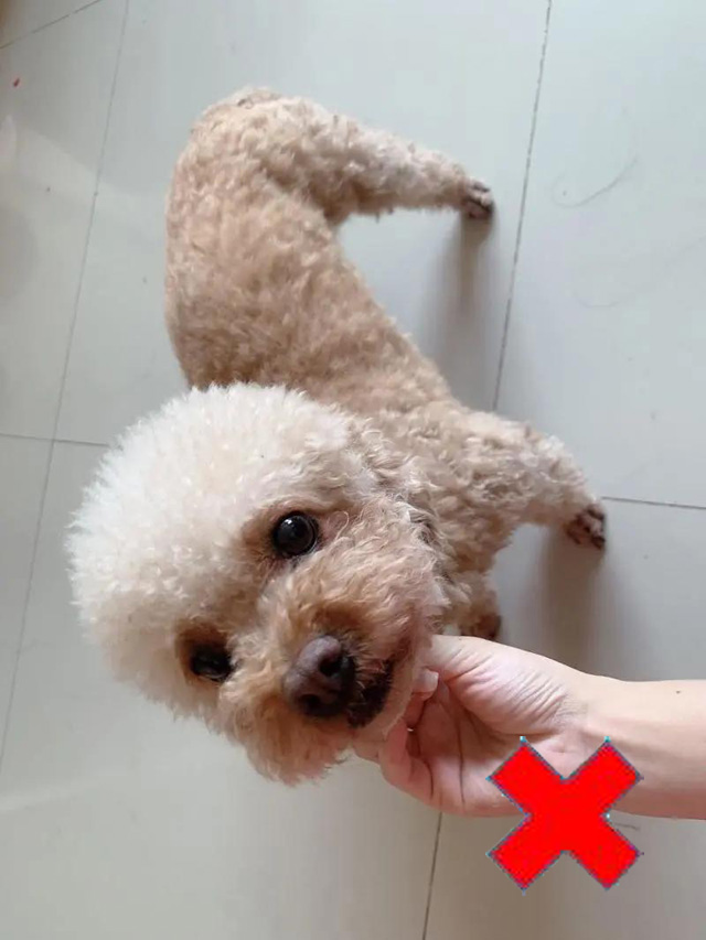 �Ĕz�ǶȲ���Ȯֻ�Ă�(c��)�����^�ڸ���Ҳ�ǲ��ϸ��