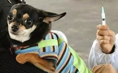 ���������B(y��ng)Ȯ����������֮����ƪ