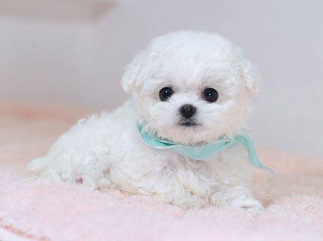 ����һ�ҿ����B(y��ng)���ٹ�����