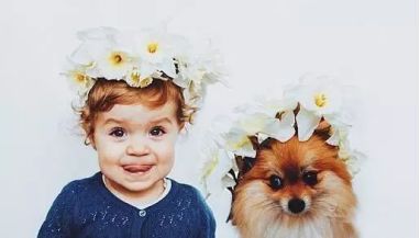 �����B(y��ng)ȮС���R