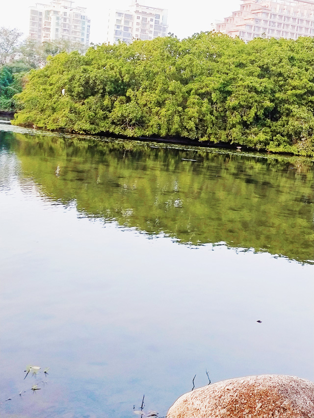 ���~�h���¼��g��I(y��)����������ʲô��