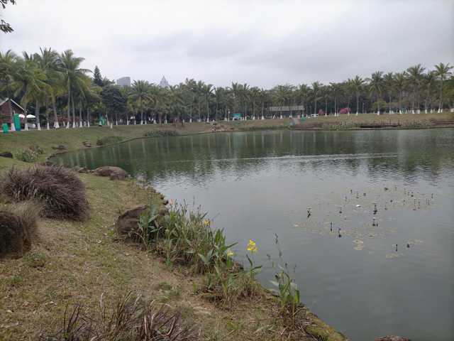 陵水縣高新技術(shù)企業(yè)獎(jiǎng)勵(lì)政策是什么?