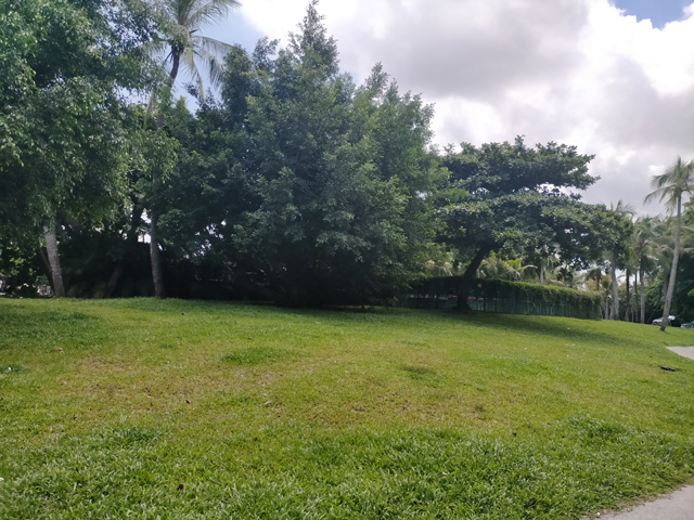 ��ͤ�h���¼��g(sh��)��I(y��)��(ji��ng)��(l��)������ʲô��